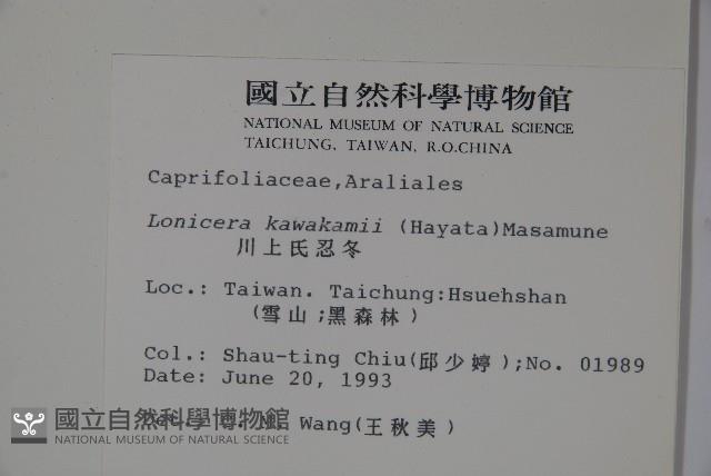 川上氏忍冬藏品圖，第2張