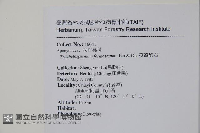 臺灣絡石藏品圖，第2張