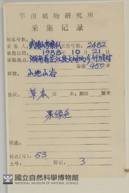 簇生卷耳藏品圖，第2張