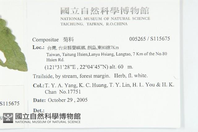 下田菊藏品圖，第2張