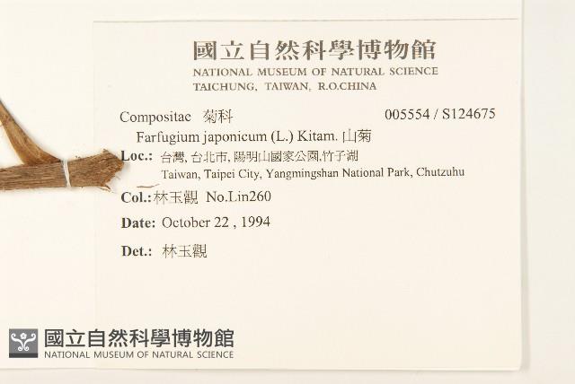 山菊藏品圖，第2張