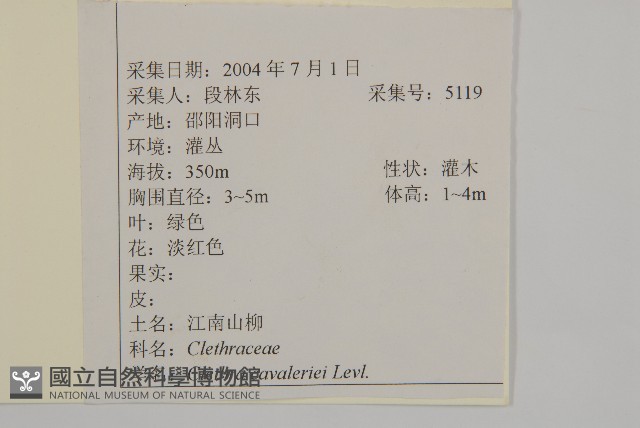 江南山柳藏品圖，第2張