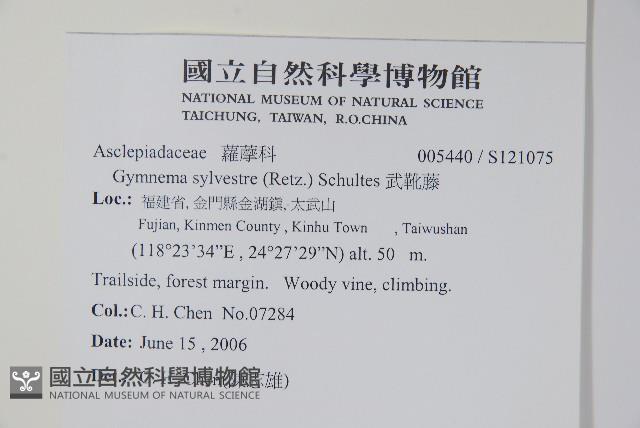 武靴藤藏品圖，第2張