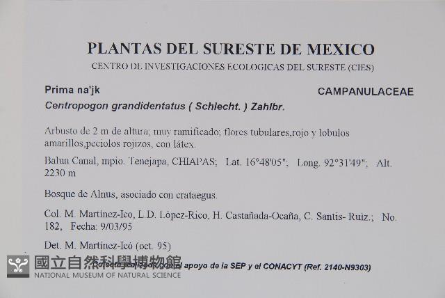 登錄號:S035075藏品圖，第2張