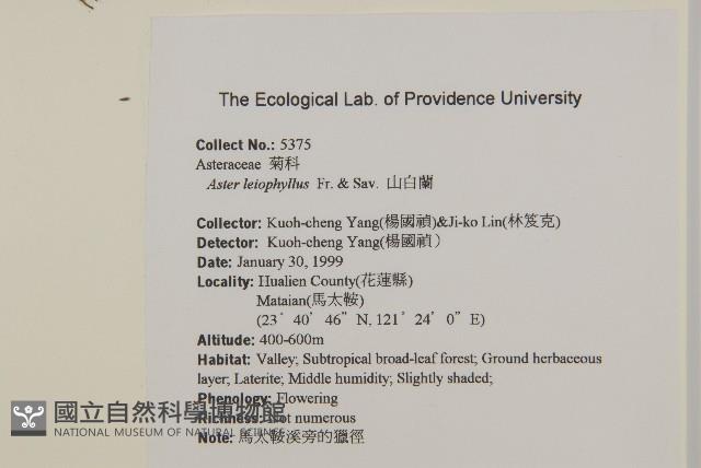 山白蘭藏品圖，第2張