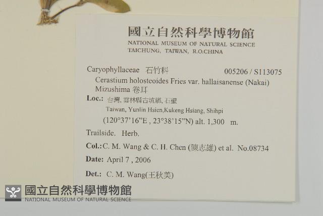 卷耳藏品圖，第2張