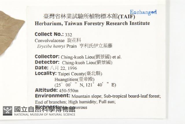 亨利氏伊立基藤藏品圖，第2張