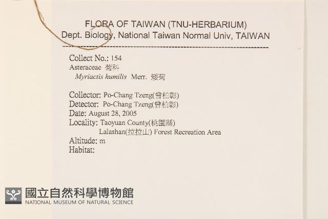 矮菊藏品圖，第2張