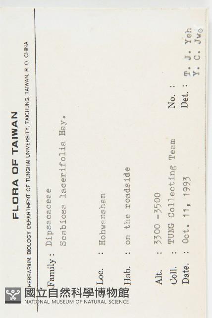 玉山山蘿蔔藏品圖，第2張