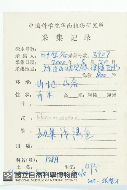 薄果猴歡喜藏品圖，第2張