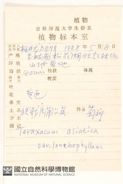 狹戟片蒲公英藏品圖，第2張