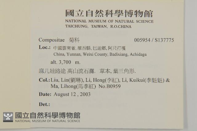 登錄號:S137775藏品圖，第2張