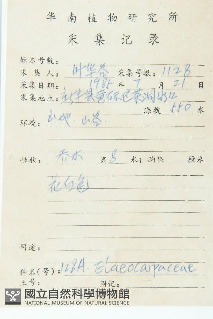 華杜英藏品圖，第2張