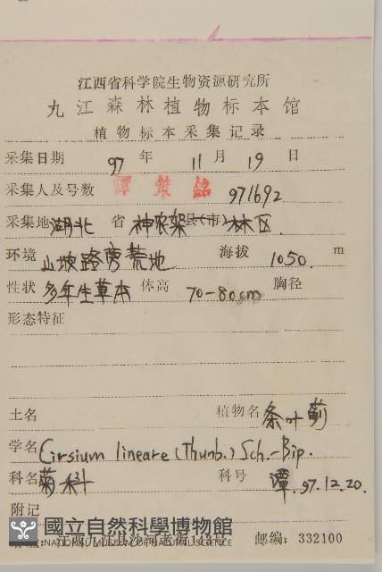 華薊藏品圖，第2張