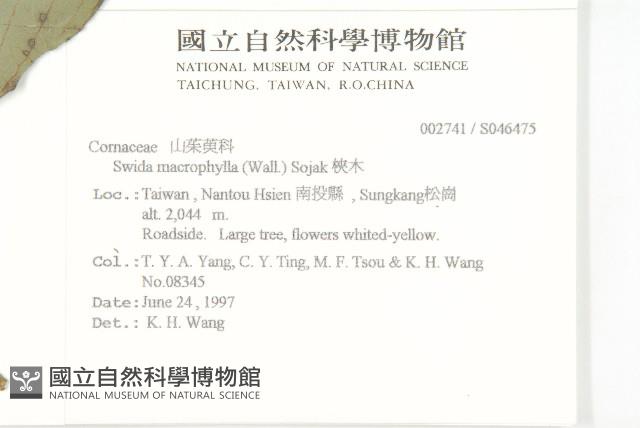 梜木藏品圖，第2張