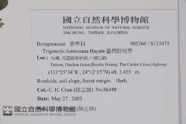 臺灣附地草藏品圖，第2張