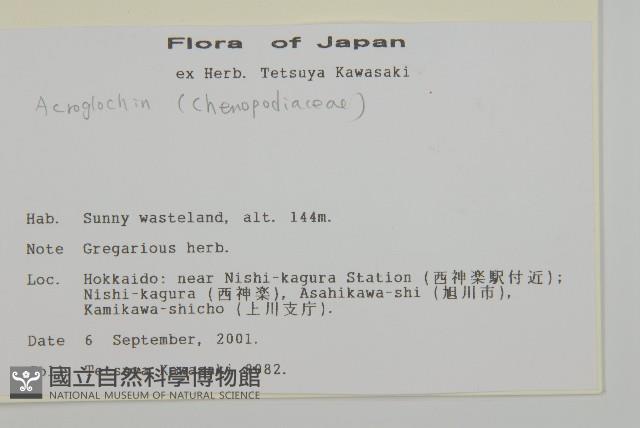 登錄號:S113475藏品圖，第2張