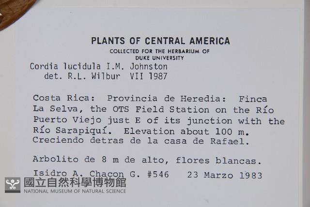 登錄號:S035175藏品圖，第2張