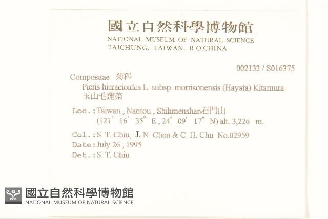 玉山毛蓮菜藏品圖，第2張