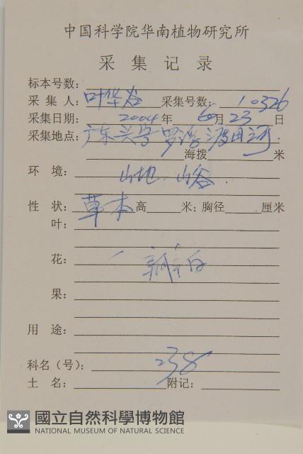 大花咸豐草藏品圖，第2張