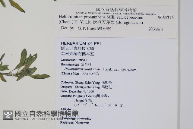 Accession Number:S065375 Collection Image, Figure 2, Total 2 Figures