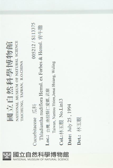 青牛膽藏品圖，第2張