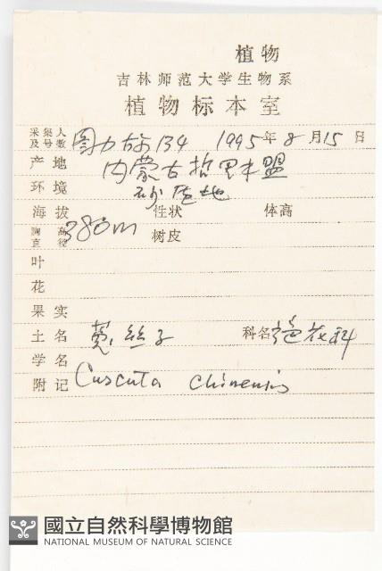 中國菟絲子藏品圖，第2張