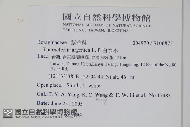 白水木藏品圖，第2張