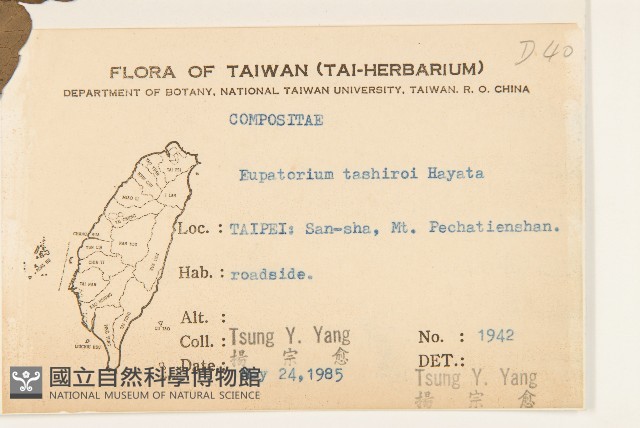 田代氏澤蘭藏品圖，第2張