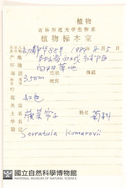 波菜帘子藏品圖，第2張