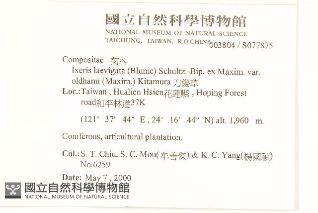 Sward Wound weed Collection Image, Figure 2, Total 2 Figures