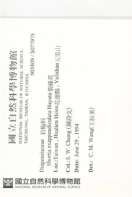 裂緣花藏品圖，第2張