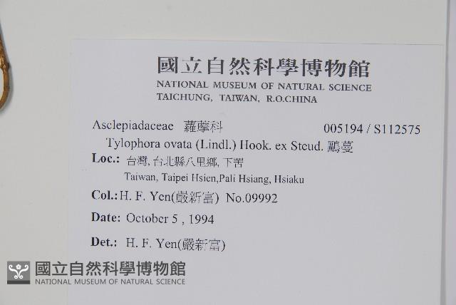 鷗蔓藏品圖，第2張