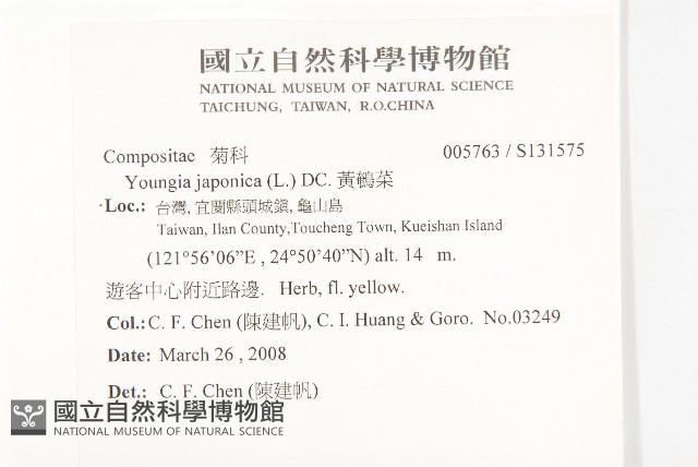 黃鵪菜藏品圖，第2張