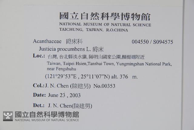 爵床藏品圖，第2張