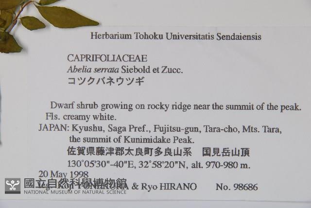 登錄號:S074575藏品圖，第2張