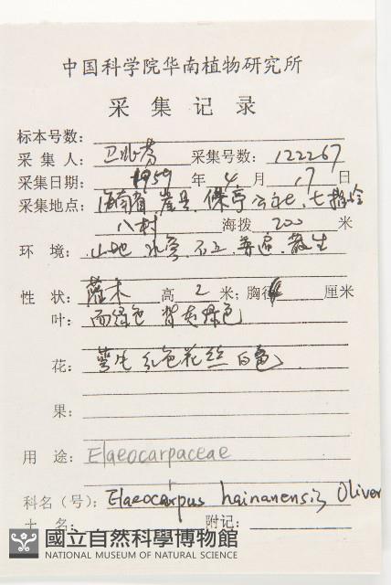 水石榕藏品圖，第2張