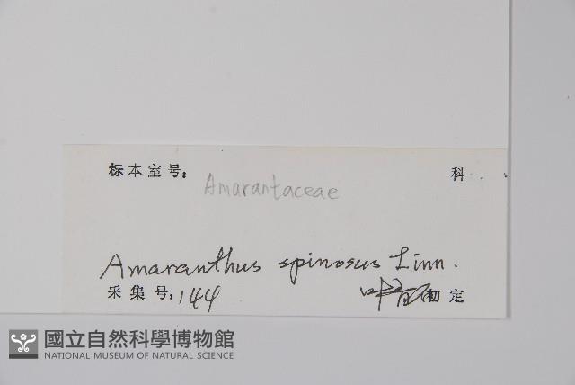 刺莧藏品圖，第2張