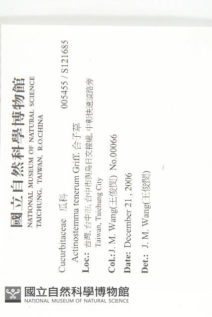 合子草藏品圖，第2張