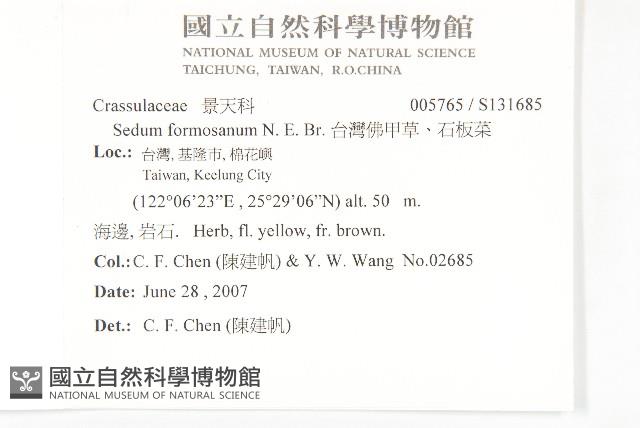 台灣佛甲草、石板菜藏品圖，第2張