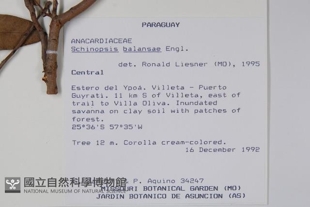 登錄號:S054685藏品圖，第2張