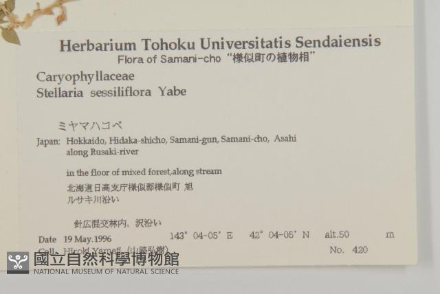 登錄號:S074685藏品圖，第2張