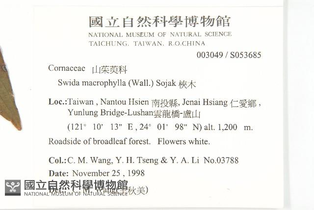 梜木藏品圖，第2張