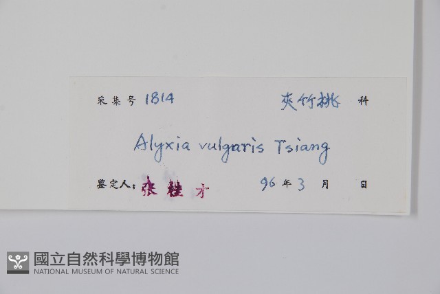 串珠子藏品圖，第2張