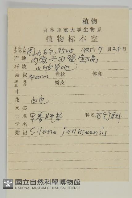 山螞蚱藏品圖，第2張