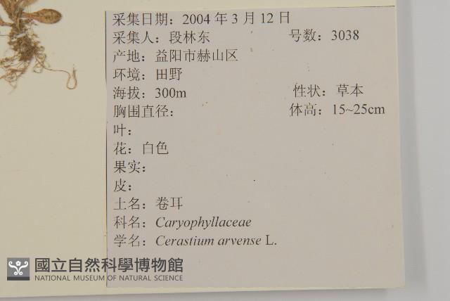 卷耳藏品圖，第2張