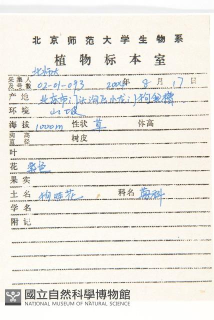 阿爾泰狗哇花藏品圖，第2張