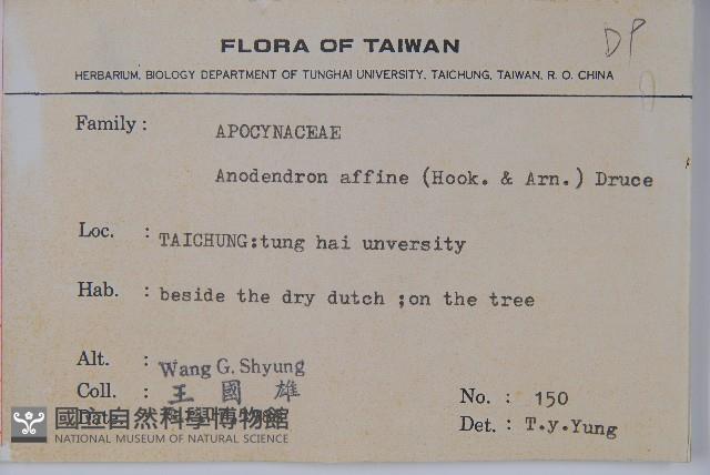 小錦蘭藏品圖，第2張