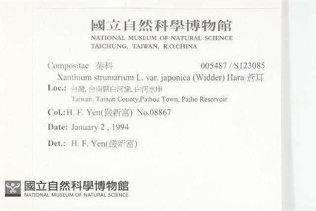 蒼耳藏品圖，第2張