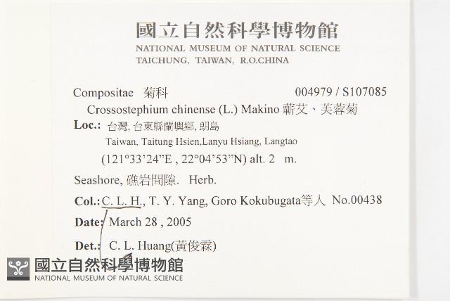 蘄艾、芙蓉菊藏品圖，第2張